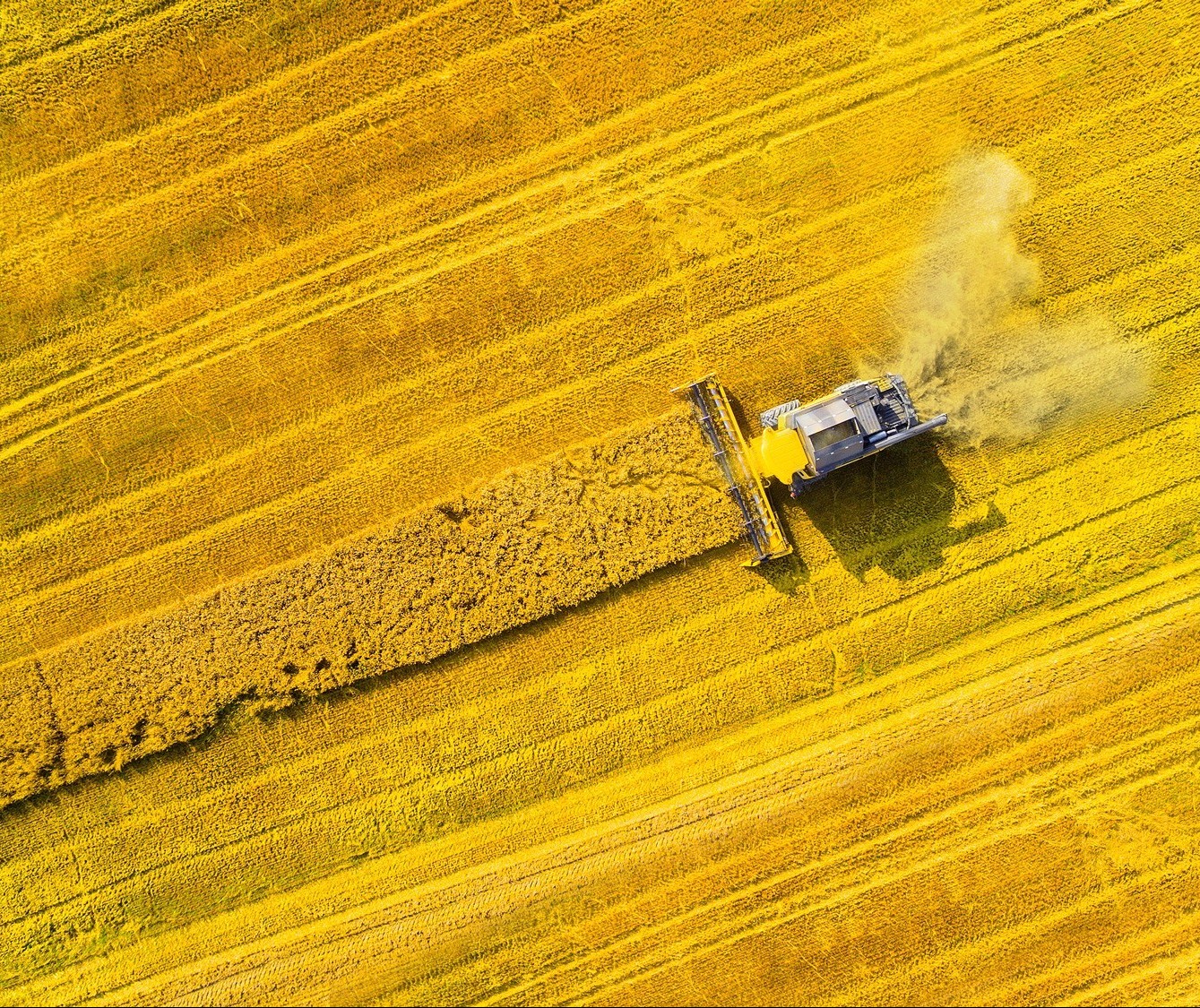 Inovação e tecnologia são temas da 1ª Agrobit