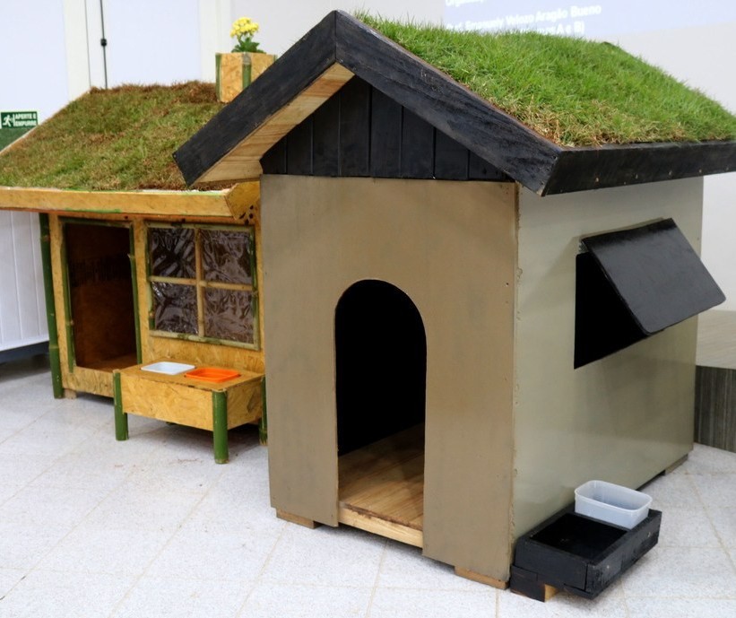 Casas sustentáveis para cachorro