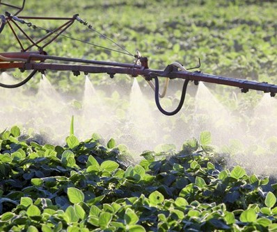 Porcentagem de agricultores que usam agrotóxicos inadequadamente é pequena