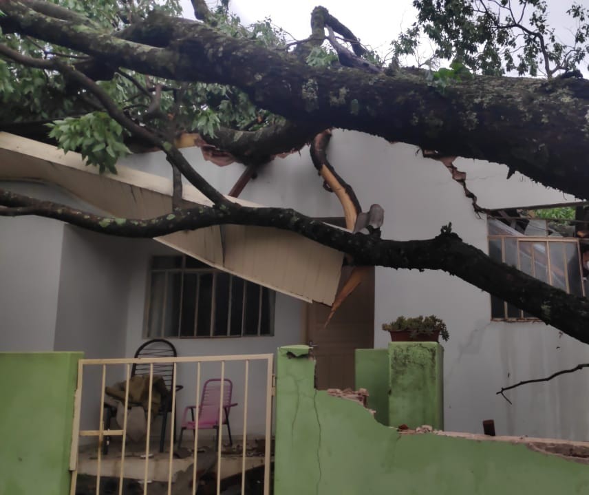 Temporal provoca estragos em Maringá