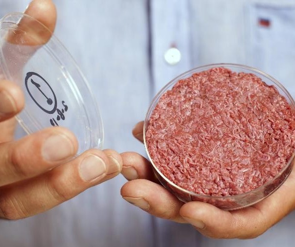 Carne cultivada: uma alternativa para suplementar a alimentação no planeta
