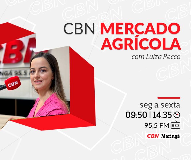 Café beneficiado é vendido a R$ 727,19 na média regional