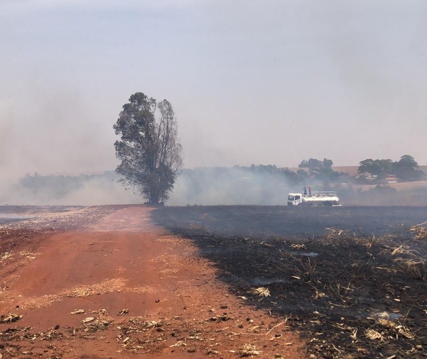 No combate a incêndios ambientais, bombeiros empregam todas as viaturas