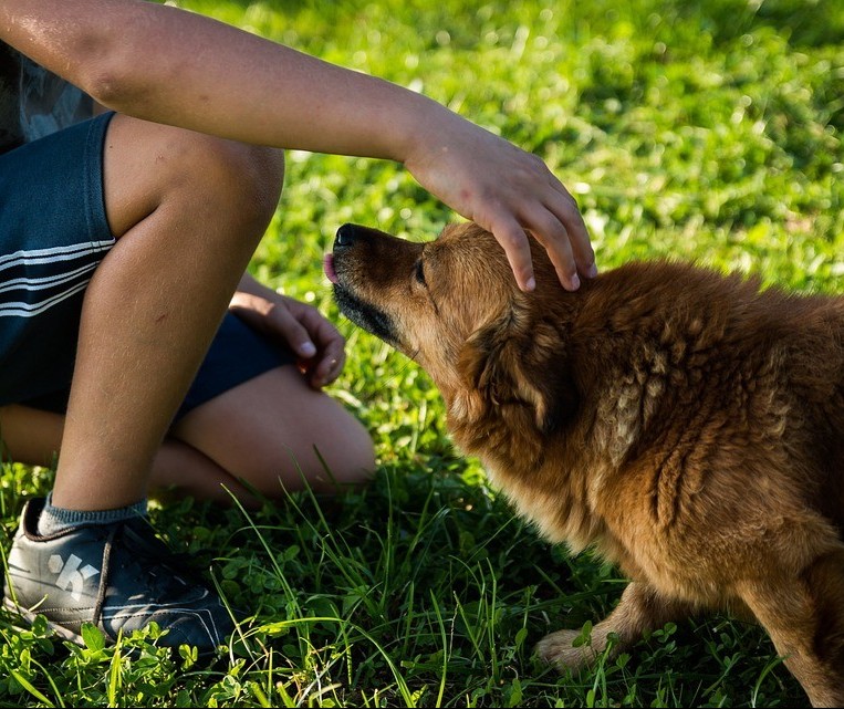 Amizade entre homem e cão é milenar