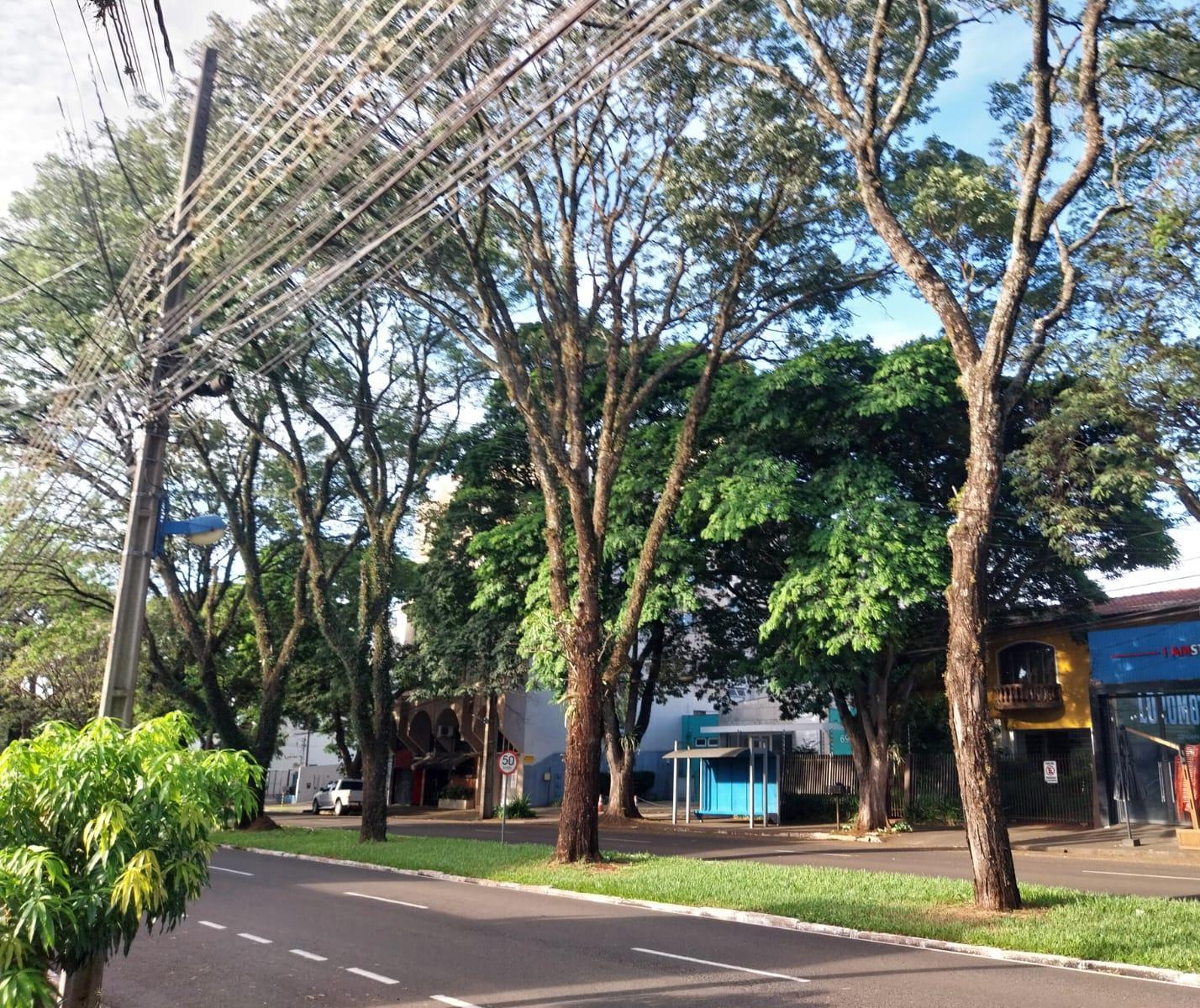 Domingo (30) com possibilidade de chuva em Maringá