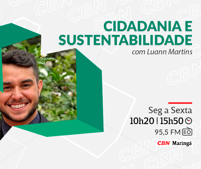 Projeto no Havaí une sustentabilidade, inovação e solidariedade