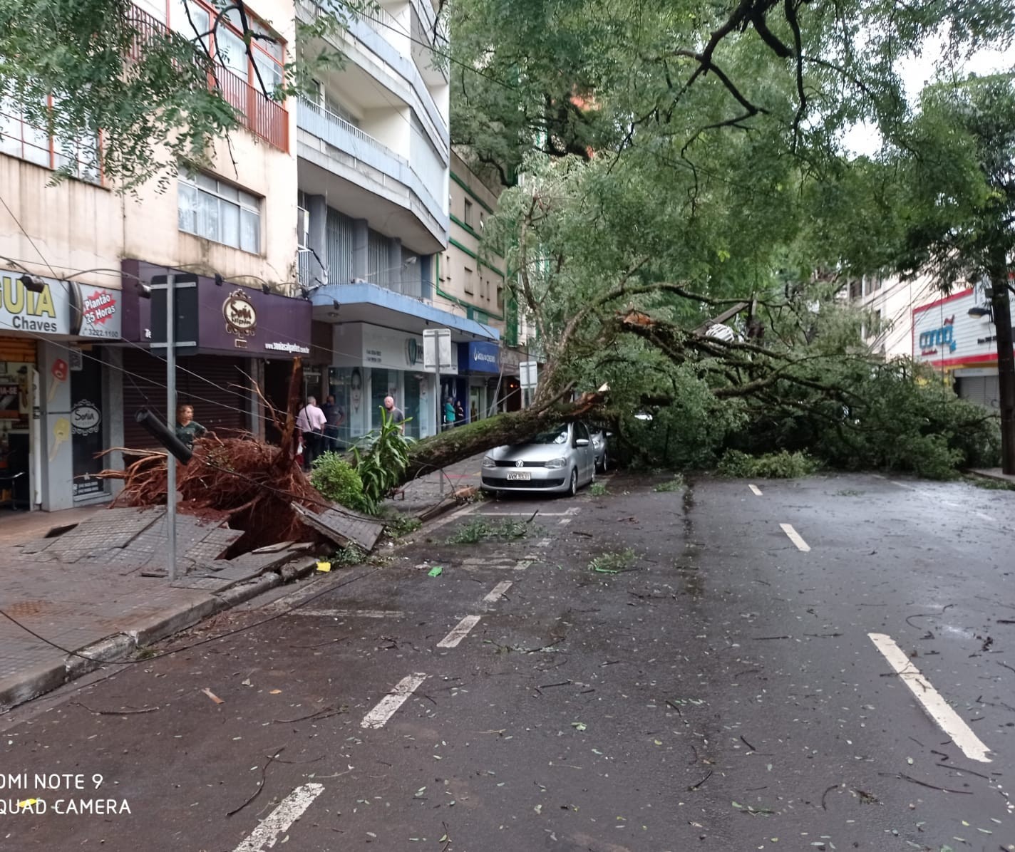 Ventos durante o temporal de sábado chegaram a 91 km/h em Maringá