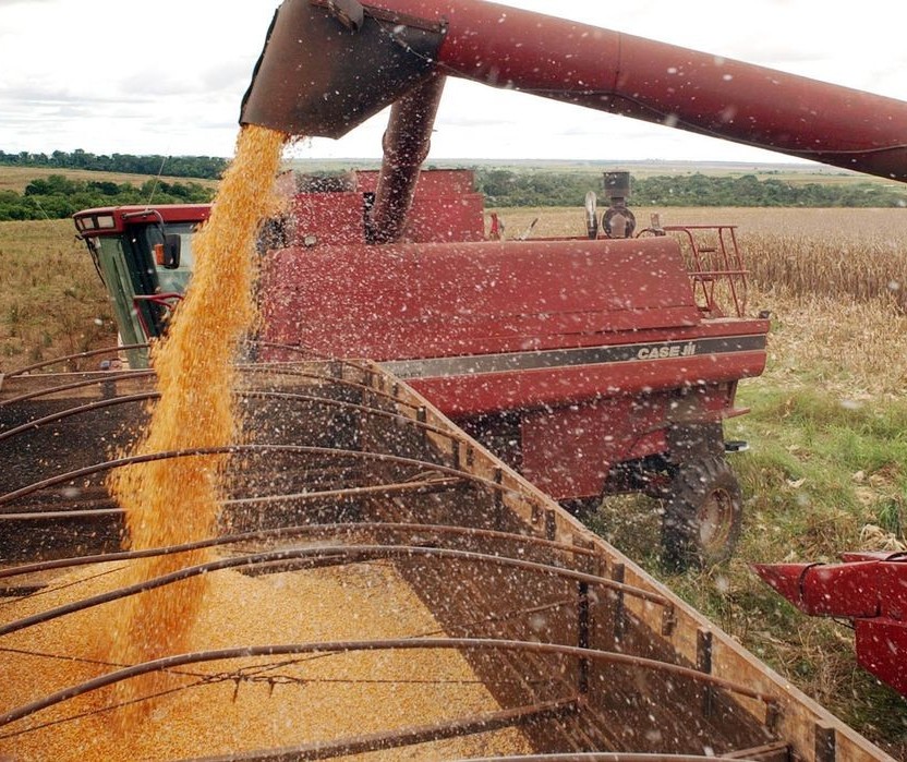 Cadeia produtiva do agronegócio sente as variáveis da economia mundial