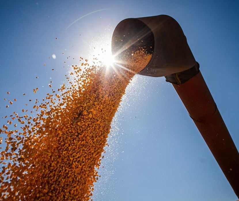 Safra de grãos pode chegar a 291,1 milhões de toneladas