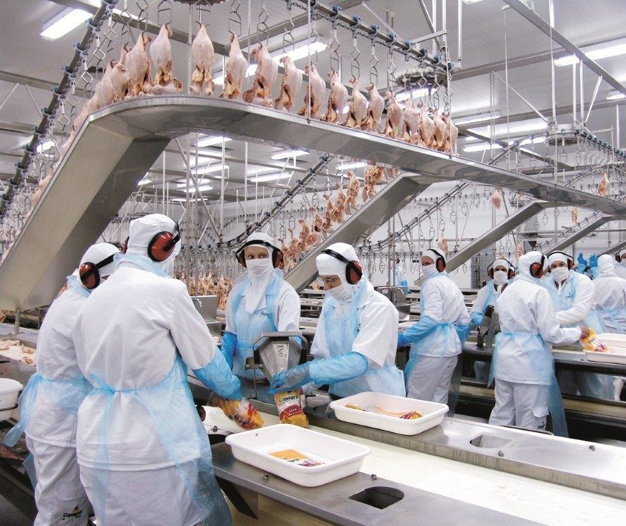 Em fevereiro exportação da carne de frango teve queda