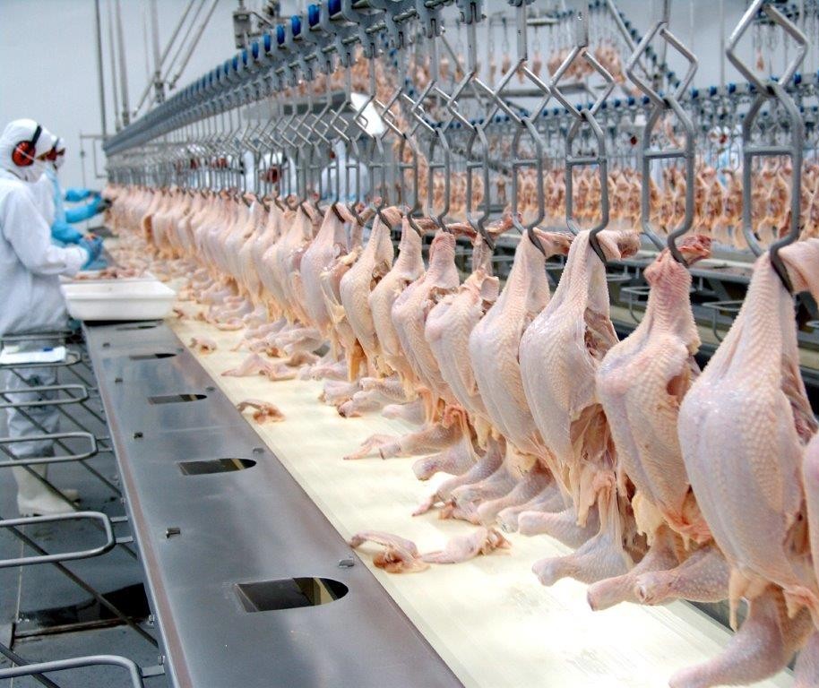 Abate de frango tem queda de 23,5% no Paraná