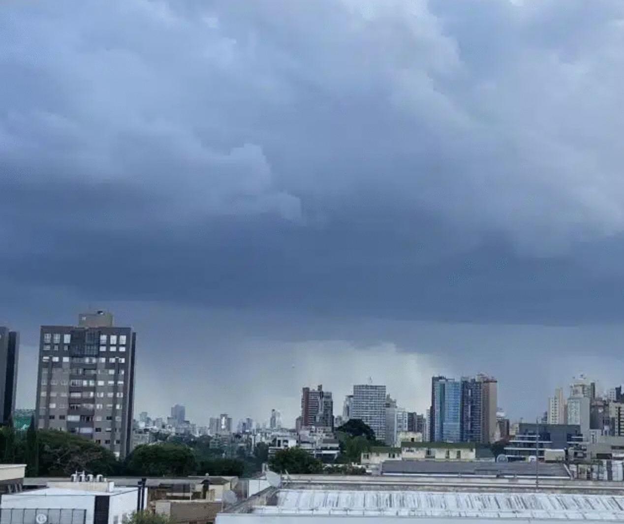 Curitiba tem mais de 300 quedas de árvores após vendaval