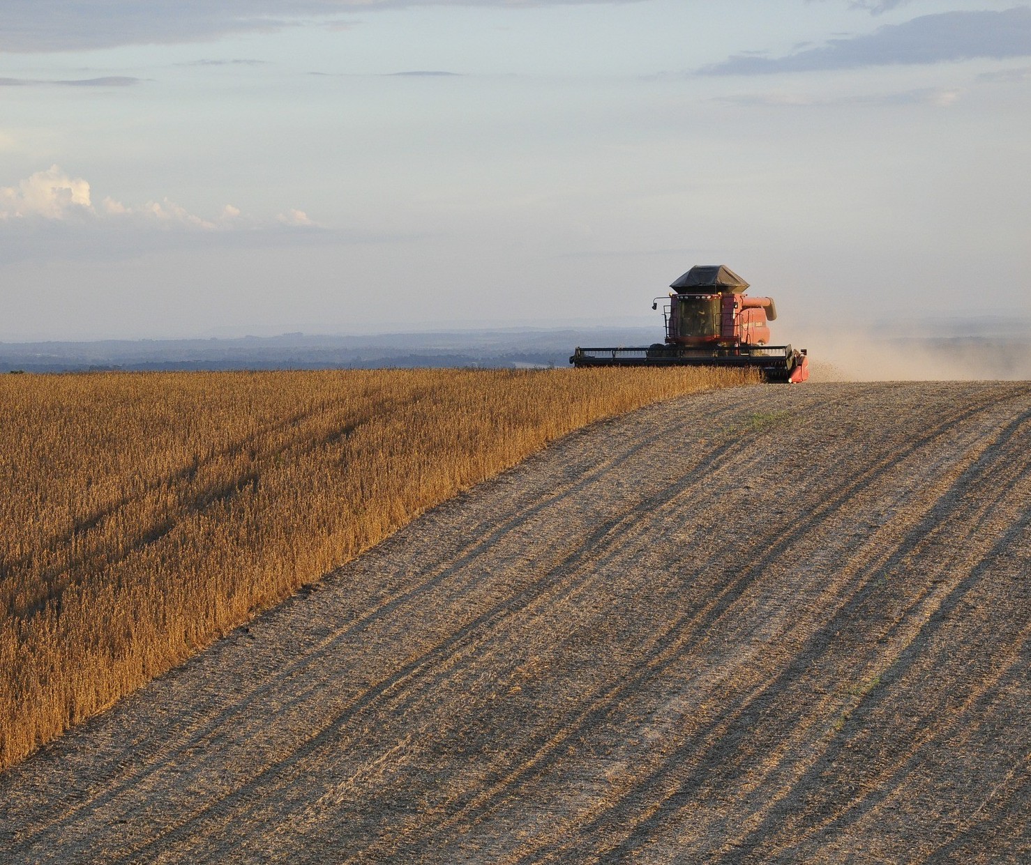 Datagro eleva safra 2019/20 de soja do Brasil para 122 milhões de toneladas