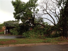 Tempestade deixa estragos em Maringá e mobiliza trabalho do Corpo de Bombeiros, Defesa Civil e da Copel