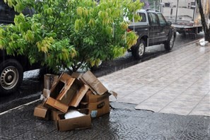 Deixar lixo reciclável do comércio em calçadas e canteiros no período da noite será crime ambiental em Cianorte