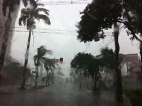Chuva derruba 15 árvores em Maringá