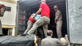 Catadores de recicláveis protestam por melhores condições de trabalho em Maringá