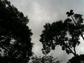 Domingo de chuva em Maringá