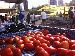 Preço do tomate apresenta alta de quase 100% em Maringá