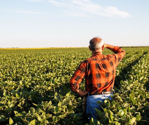 Receita Estadual do Paraná poderá cancelar o Cadastro do Produtor Rural a partir de 11 de julho