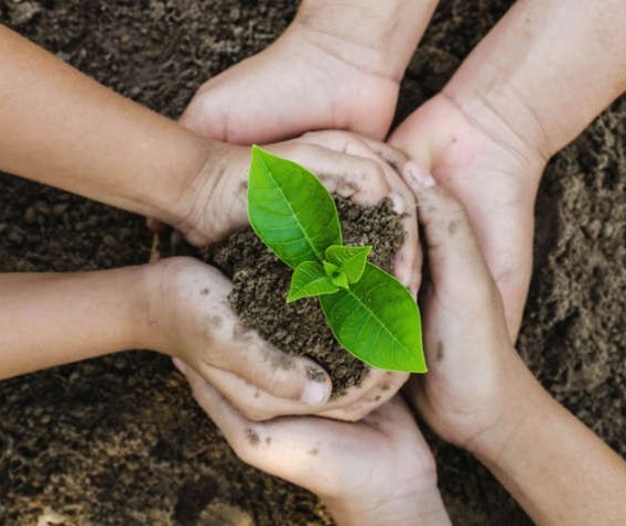 Relatório aponta crescimento de 34% nos investimentos sustentáveis no planeta