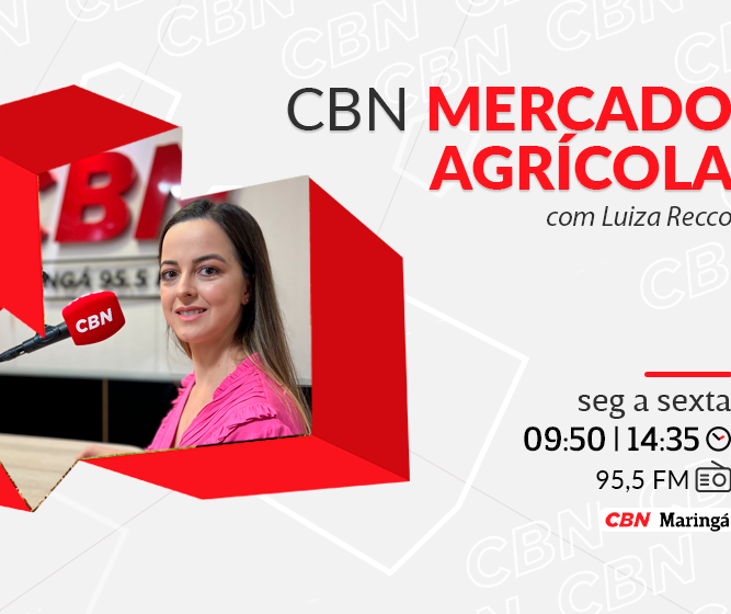 Mandioca custa R$1.141.92 na média regional