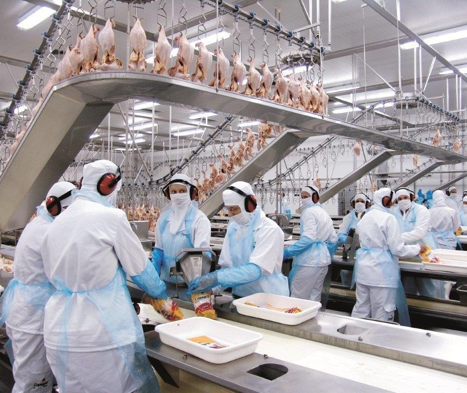 Alta no valor de exportação da carne de frango no Paraná