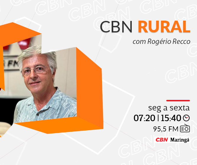 34 municípios do Paraná apresentam valor bruto de produção agropecuária acima de R$ 1 bi