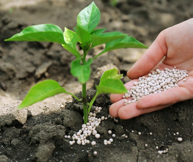 Fertilizantes nitrogenados tiveram alta de 61% em 2021