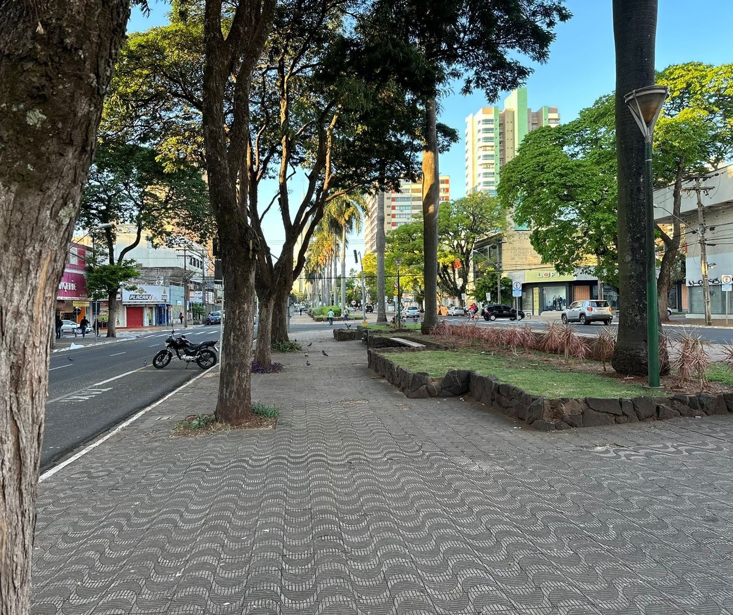 Veja como fica o tempo nesta segunda-feira (28) em Maringá