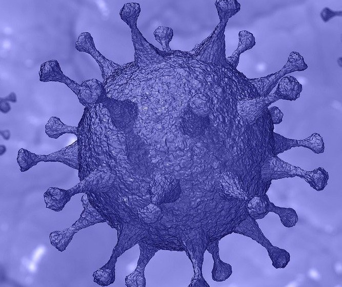 Coronavírus: veja os dados deste domingo (27) em Maringá