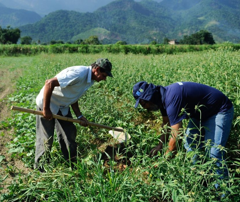 Campanha estimula o agricultor a pagar insumos com produção