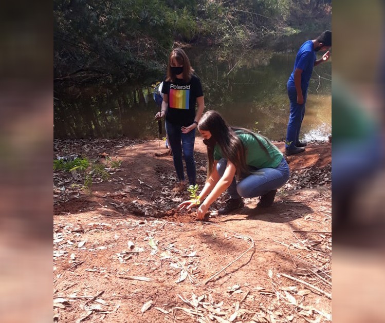 Lagoa do Horto Florestal de Astorga está secando, diz Sodema