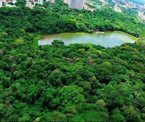 Estudo da Fadec sobre lago do Parque do Ingá é finalizado 