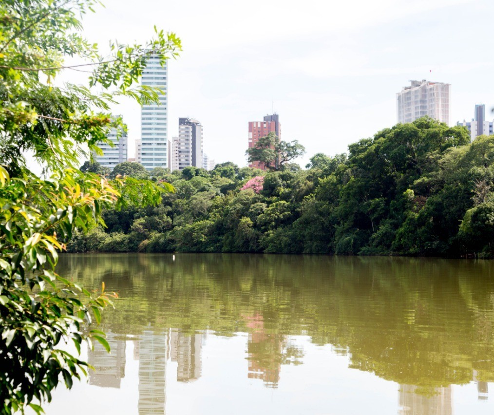 Lago do Parque do Ingá está ‘secando’ por falta de áreas permeáveis