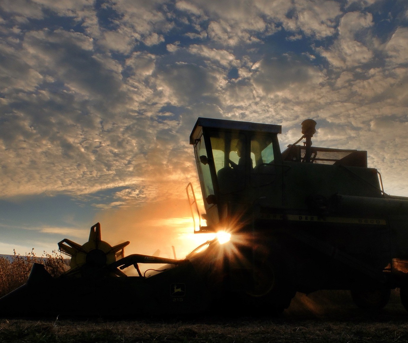 Datagro projeta safra 2020/21 de soja na América do Sul em recorde de 203,19 milhões de toneladas