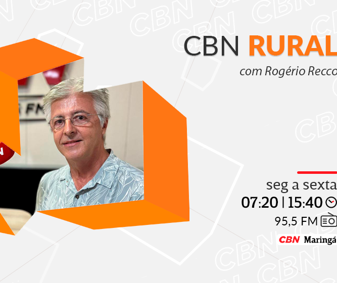 CBN Rural entrevistou o dono da vaca nelore mais cara do mundo: 21 milhões de reais