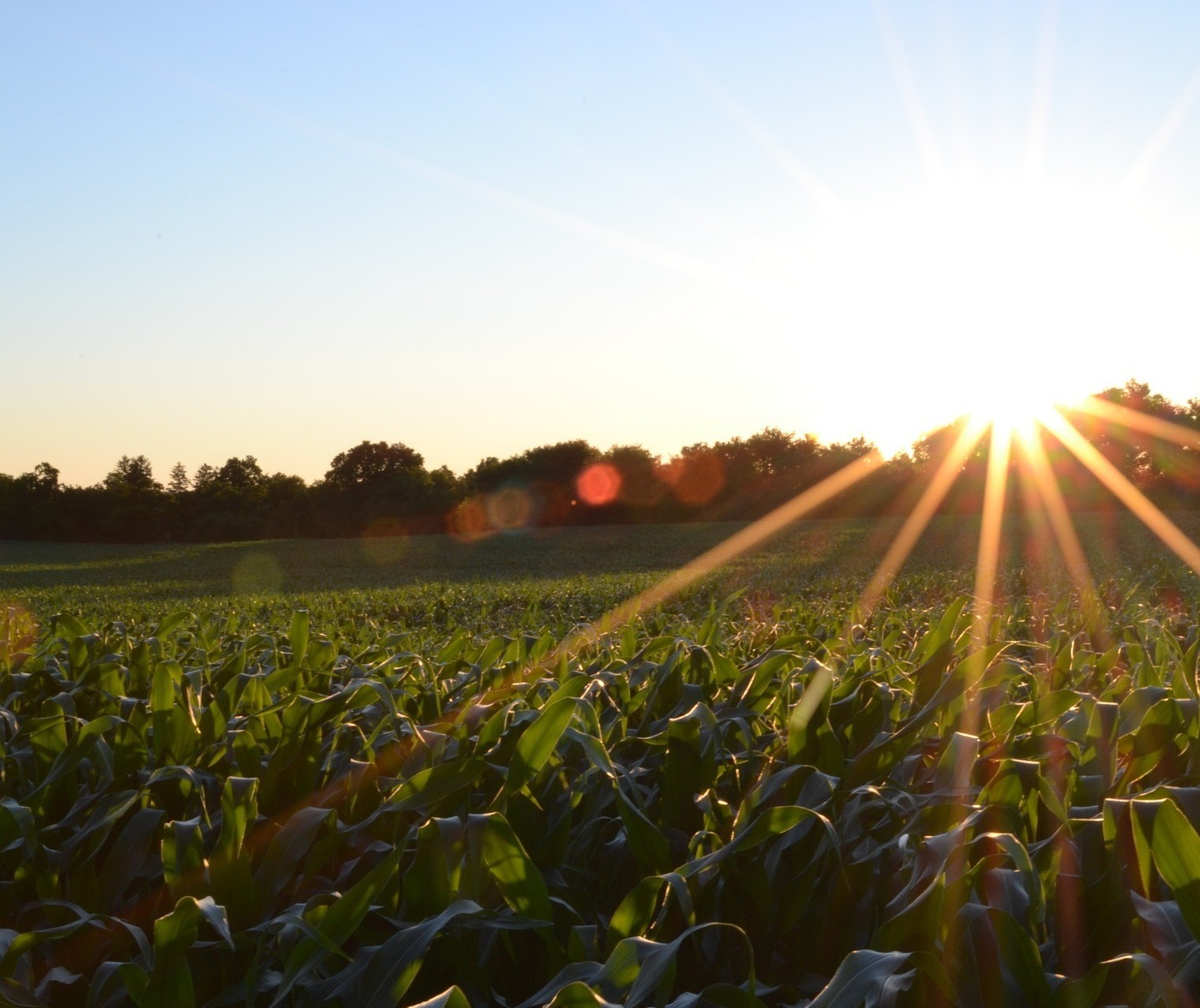 Exportações do agro batem novo recorde