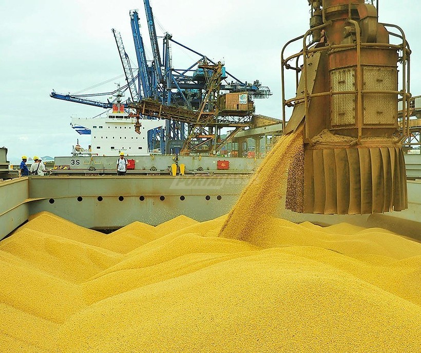 Preço da soja acentua trajetória de queda