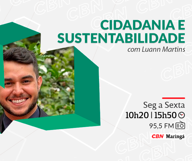 Startup usa IA e ciência para valorizar árvores nas cidades