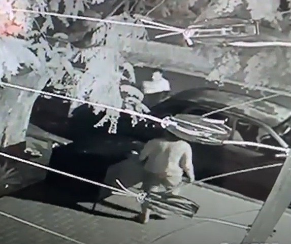 Após vídeo viralizar, polícia identifica casal que furtou container
