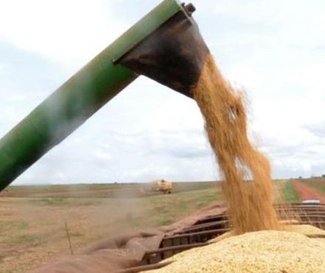 Cooperativas do agro no Brasil devem movimentar R$ 400 bilhões em 2022