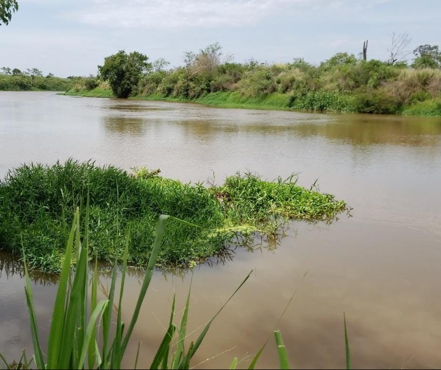 Corpo de enfermeiro do HU é encontrado no Rio Pirapó