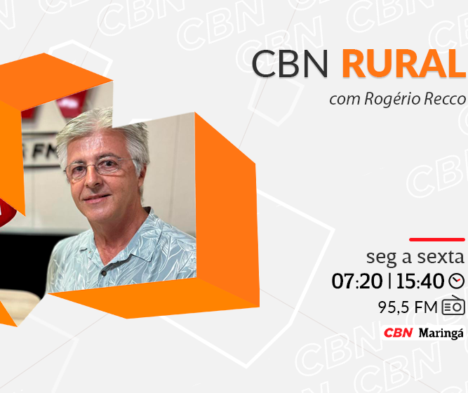 Viagens técnicas em busca de inovações ganham impulso entre os produtores