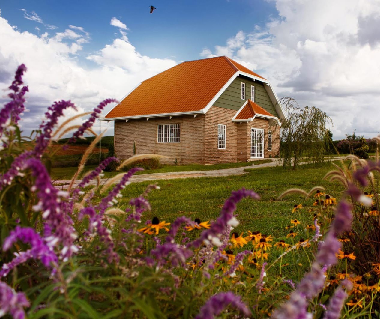Rota da Lavanda faz parte do turismo rural