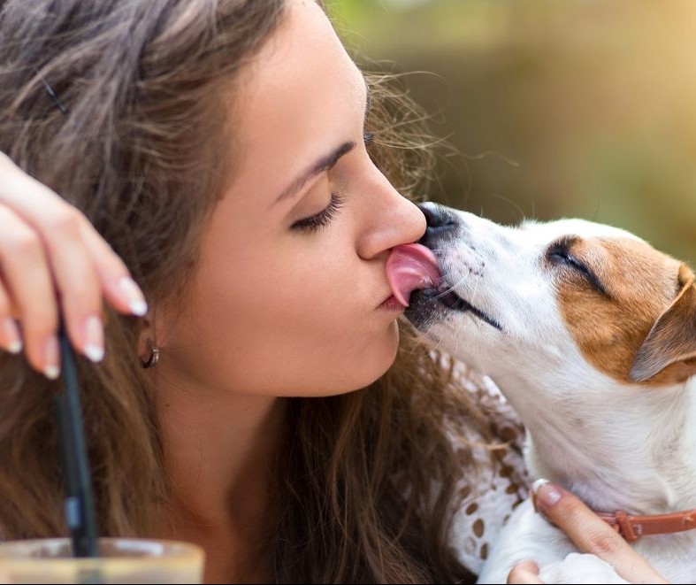 Saiba as doenças que podem ser transmitidas por animais em humanos