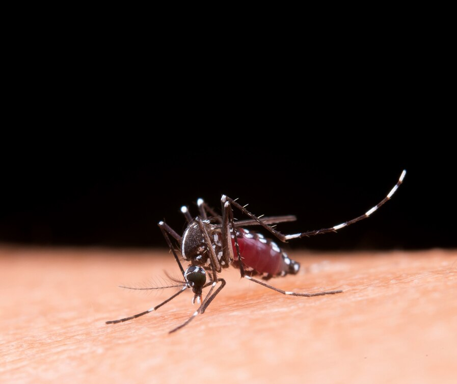 Sesa confirma mais sete mortes por dengue no Paraná