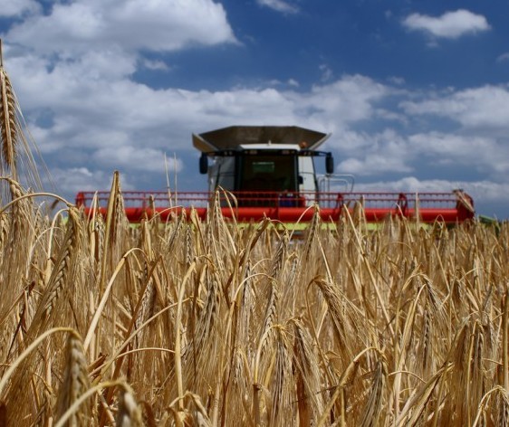 O efeito do coronavírus no agronegócio do Paraná