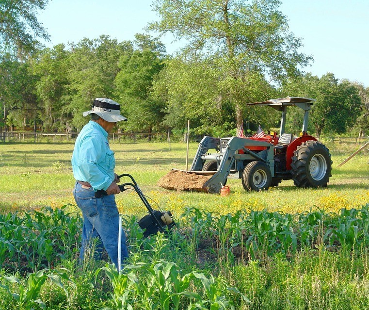 Dia do Agricultor: Agronegócio brasileiro se destaca nos pilares da economia nacional