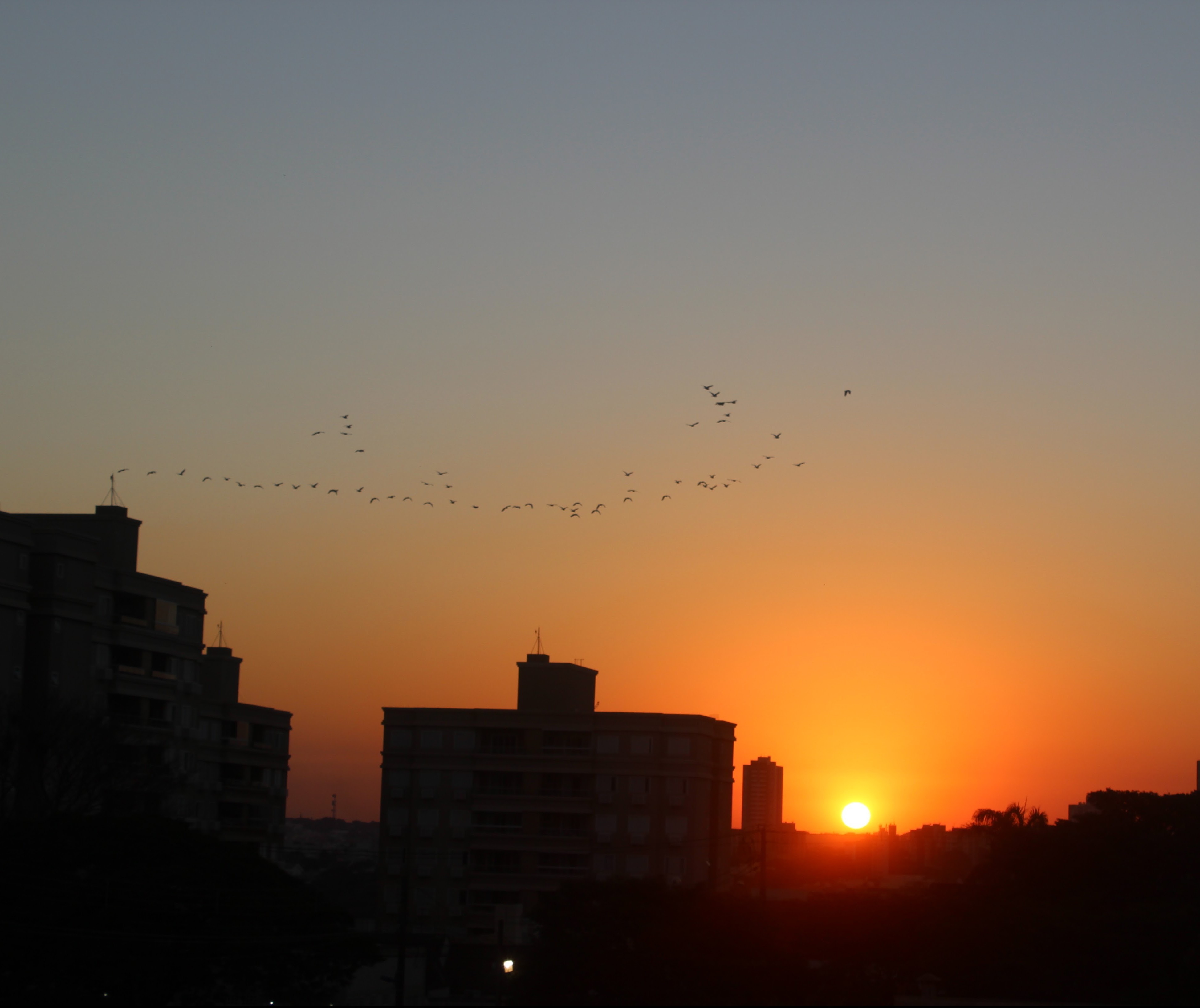 Volta do sol anima produtores